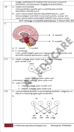 SSLC MODEL EXAM - ANS KEY - BIOLOGY- MM