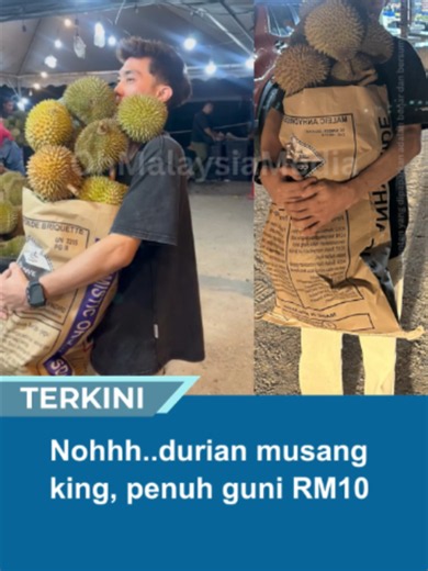 Nohhh..durian musang king, penuh guni RM10 #trendingnewsmalaysia #beritatiktok #fyp #trending #trendingnow