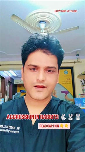 Dr.Nadeemalam on Instagram: "Types of Aggression in Rabbits 1. Fear aggression: Rabbits may become aggressive when feeling threatened, scared, or anxious. 2. Territorial aggression: Rabbits can be protective of their space and resources. 3. Pain-induced aggression: Rabbits in pain or discomfort may lash out. 4. Dominance aggression: Rabbits may assert dominance over other rabbits or even humans. Signs of Aggression: 1. Biting 2. Growling 3. Lunging 4. Scratching 5. Nipping 6. Thumping hind legs 