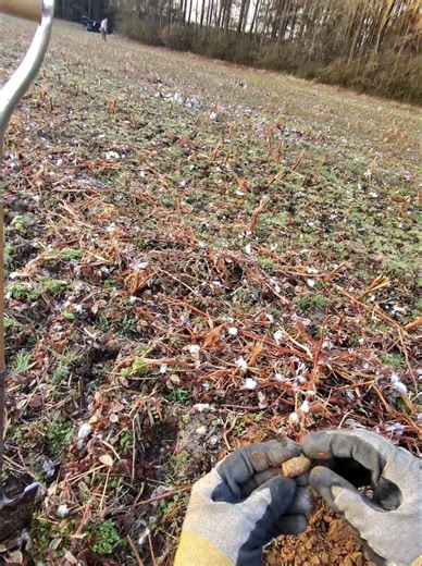 2nd Target of #Digstock