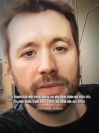 Quidditch Match with Oliver Wood - Gryffindor Seeker Highlights