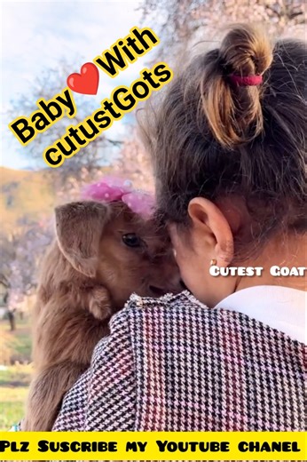 Goatees love baby bakry ko payar dety #goats #goatfarming #animalshorts #beautifullgoats #villlage
