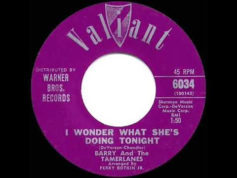 1963 HITS ARCHIVE: I Wonder What She’s Doing Tonight - Barry & the Tamerlanes