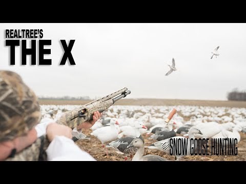 The X: Conservation Snow Goose Season