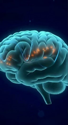 Band-Limited EEG Deviations in Advanced Meditation: Delta Dominance and Suppressed Alpha Rhythms