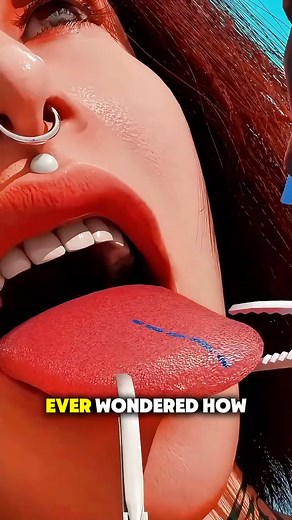 4.1K views · 14 reactions | How Tongue Splitting is Done? (3D Animation) #how #tongue #split #laser #3danimation | PurelyFit | Facebook