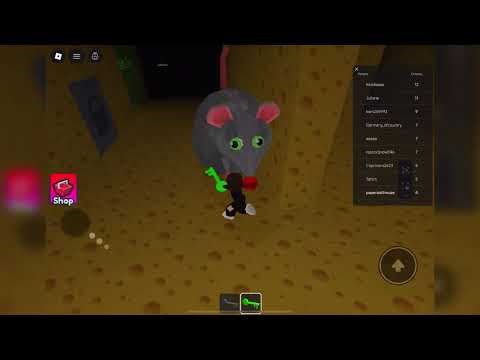 Roblox Cheese Escape 🧀 | Kids Puzzle Gameplay