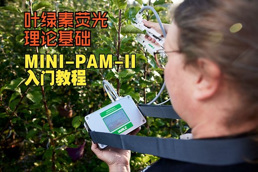 叶绿素荧光理论基础&MINI-PAM-II入门教程
