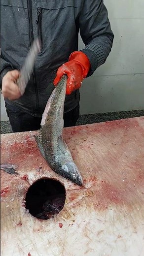 How Do YOU Fillet a Walleye? (Fishermen React!)