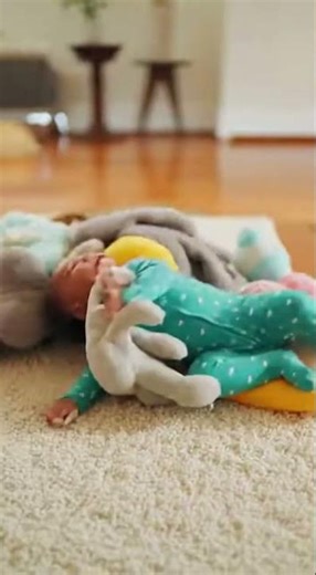 Robot Vacuum Rodeo! 😂 Frenchie Puppy Herds Baby on Roomba #Shorts #funnydogs