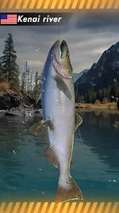 Choose your bait, cast your line. Embark on your fishing adventure. Enjoy your Fishing Travel now! | Fishing Travel