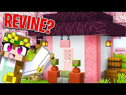 REVIZITAM SERIA ORIGINALA de MINECRAFT ?