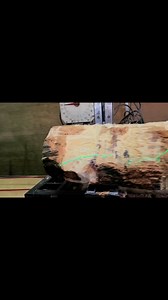 Do you have standing timber that you want to harvest? We’d be happy to help you with the process! 814-880-1162 #greenridgeforestproducts #greenridgeforestry #professionaltimbermanagement #Sawmill | Green Ridge Forest Products