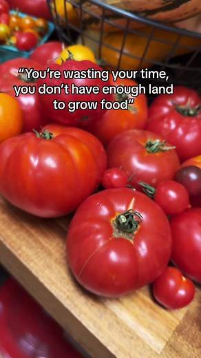 9K views · 181 reactions | - [ ] #homesteader #homemade #homesteadlife #prepper #beprepared #homesteadingskills #fromscratchcooking #farmlife #urbanfarm #garden #gardening #prepare #growyourownfood #fallgarden #plants #realfood #howto #purposefulliving #homesteadingmama #preservation #canning #dehydrate #diy | Farmer K Homestead | Facebook