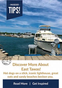 Michigan Fossil Hunting: Find Fossils, Yooperlites, Petoskey Stones!