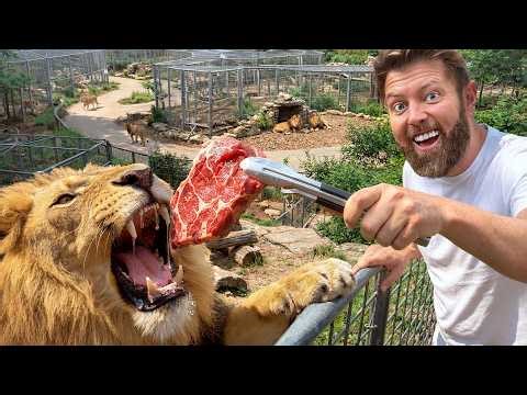 Private Tour of America’s Secret Big Cat Rescue