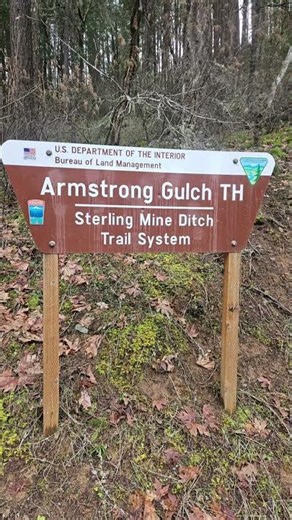 Oregon Wildflowers W/ Oregon Defensible Space