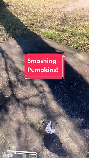 Destroying your art gets you on the for you page? We’ll see 🤔 #fyp #fypシ #glassblowing #glassart #oddlysatisfying #asmr #artist #art #glasspumpkin