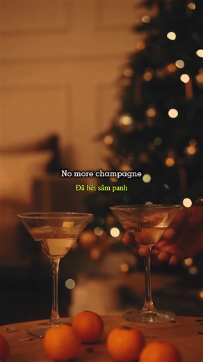 Happy New Year ABBA Lyrics with Vietnamese Subtitle