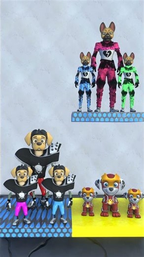 I like dogs. How about you?#dog #cat #funny #shots