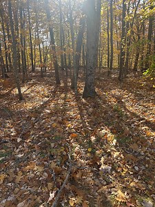 Maine's dry spell increases the fire risk, Forest Service gears up with new tech