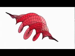 Miles Padgett: Optical tweezers and twisted beams of light