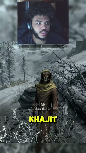 I Met a Lying NPC #theelderscrolls #skyrim #funny