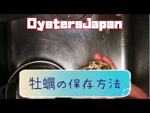 【簡単】牡蠣の保存方法