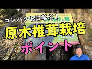 [Learn in a Nutshell] Key Points for Log-Grown Shiitake Cultivation【MAEDA FARM】#sdgs #HomeGardeni...