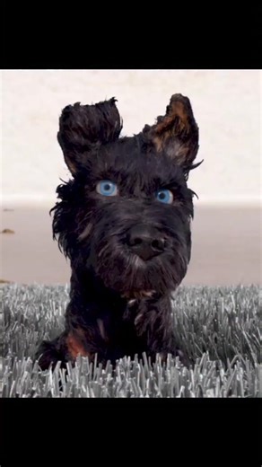 Theydontmakemovielikethis on Instagram: "Isle of Dogs (Japanese: 犬ヶ島, Hepburn: Inu ga Shima) is a 2018 adult stop-motion animated science fiction comedy-drama film written, produced, and directed by Wes Anderson, narrated by Courtney B. Vance and starring an ensemble cast consisting of Bryan Cranston, Koyu Rankin, Edward Norton, Liev Schreiber, Bill Murray, Bob Balaban, Jeff Goldblum, Scarlett Johansson, Kunichi Nomura, Tilda Swinton, Ken Watanabe, Akira Ito, Greta Gerwig, Akira Takayama, France