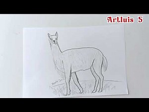 ¿Cómo dibujar una VICUÑA? | How to draw a VICUÑA? |HD