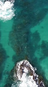 1.4K views · 48 reactions | The locals always know the best fishing spots  These guys can be seen just off our beaches daily, enjoying the turquoise waters. Grab your laptop, pick one of our local beachside cafes and set yourself up for the day to enjoy the show ☕️ #iloveportmacquarie #portmacquarie #midnorthcoast #dolphins #bottlenosedolphin #newsouthwales #feelnsw #seeaustralia  @nich_rickwood | Greater Port Macquarie | Facebook