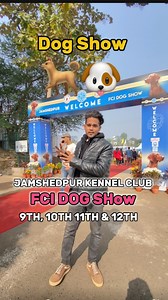 8.3K views · 84 reactions | Dog Show Jamshedpur ❤️ #jamshedpur #reelsinstagram #trendingreels #jamshedpurreel #tatanagar #nature #jsr #sakchi #baridih #bistupur #adityapur #kadma #sonari | Love Jamshedpur | Facebook