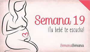 ::: SEMANA 19 ::: Si te ha gustado y quieres saber lo que ocurre cada semana de Embarazo: * Síguenos en Youtube ¡AQUÍ! 🎬 ➡️ https://goo.gl/bhioi2 | Embarazo & Bebés