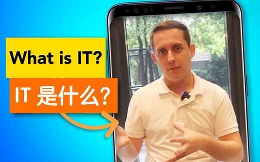 IT 是什么意思呢？