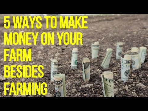 5 Surprising Ways to Generate Income on Your Farm Beyond Farming!