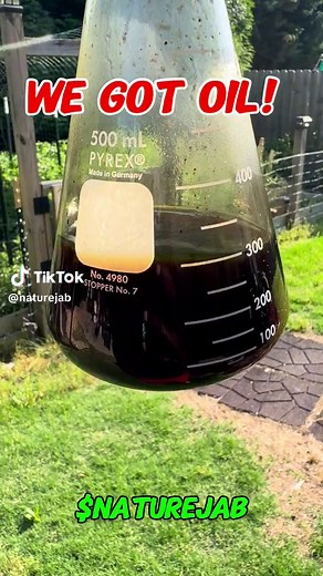 Transforming Plastic Waste into Energy | Nature Jab