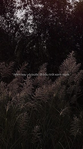 Em phải biết tự thương mình em nhé #taos_ig20 #lunyentertainment #capcut #capcutpioneer #pioneertemplate