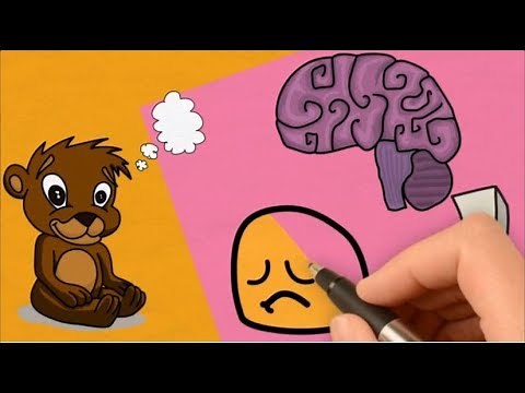 Narcolepsy simply explained for Kids