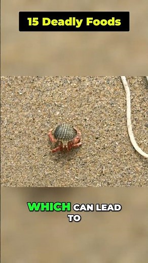 Red Tides & Shellfish: The Silent Killer - PSP Explained