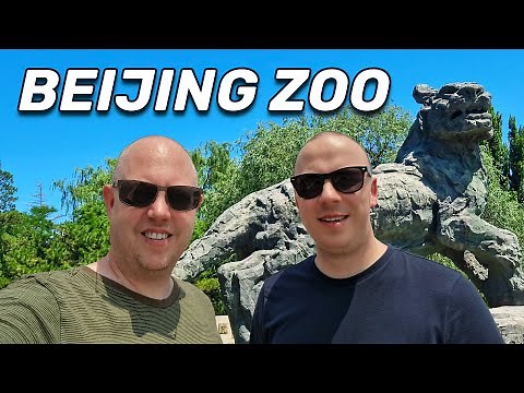 Beijing Zoo - Beijing, China 🇨🇳