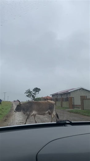 Exploring the Eastern Cape: A Journey of Discovery