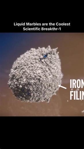 Exploring Liquid Marbles: The Coolest Scientific Breakthrough
