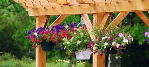 Restoring An Outdoor Pergola | DoItYourself.com