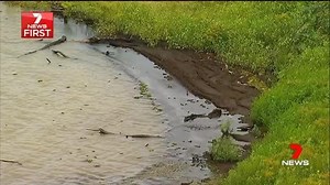 11K views · 54 reactions | Council is powering ahead with its pipeline project, announcing it will open the tender process for construction works this weekend. www.7News.com.au #7News | 7NEWS Townsville | Facebook