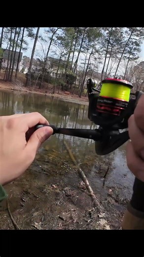 This thing is a fish catching machine!