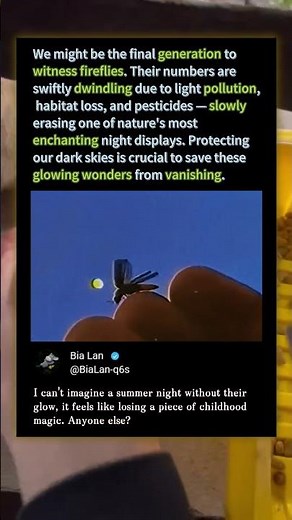 Are Fireflies Vanishing FOREVER? 🌟 #Nature #Wildlife #Science