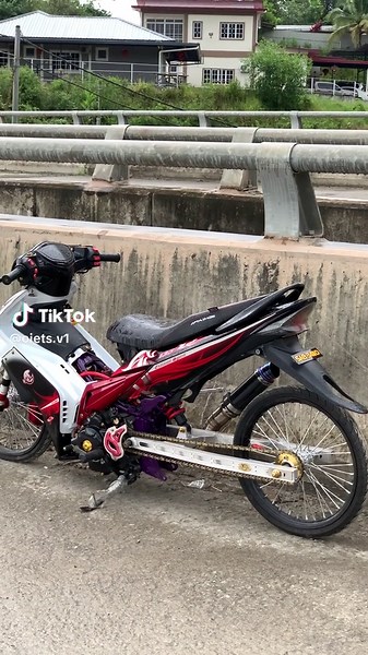 Yamaha LC135 Modifications and Customizations