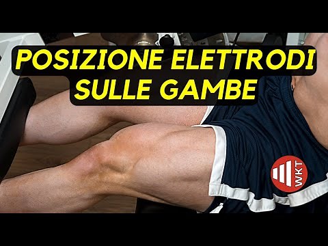 How to place electrodes on leg muscles: EMS quadriceps