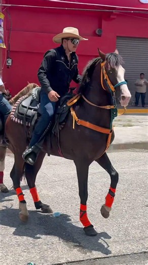 Mira cómo salta